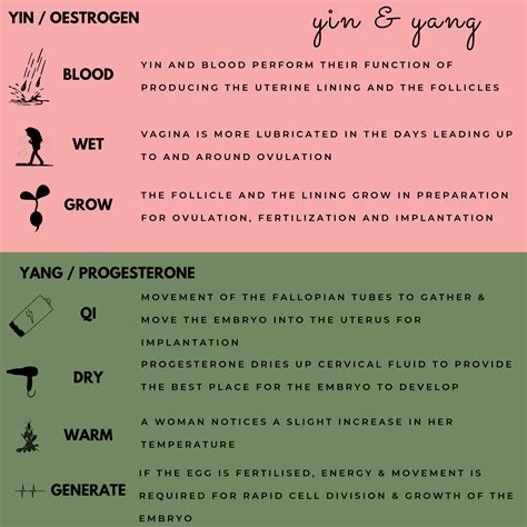 Yin And And Yang Of Menstrual Cycle Menstrual Cycle Chart Menstrual Cycle Menstrual