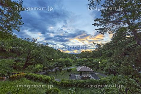 神奈川県 横浜市 大倉山公園の写真素材 142782177 イメージマート