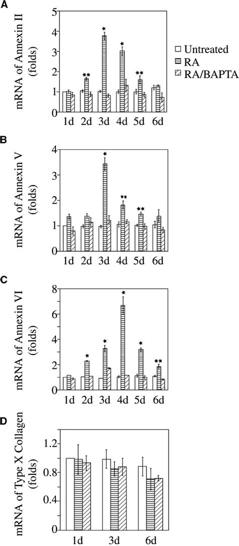 Quantitative Real Time Pcr Analysis Of Annexin Ii V And Vi And Type