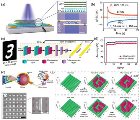 Full Article Recent Progress In Neuromorphic And Memory Devices Based