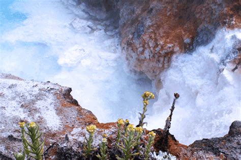 Tastesoftamrielleahbermanazul Breathhot Creek Geological Site Mono