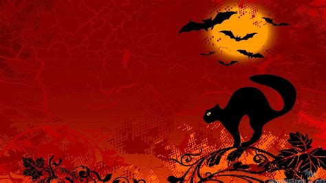 Halloween Cats Wallpapers - Wallpaper Cave