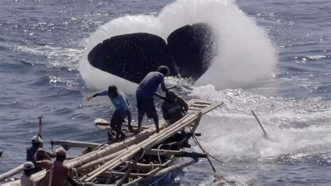 A Film 27 Years In The Making Captures Life In Whale Hunting Indonesian Village Japan Forward