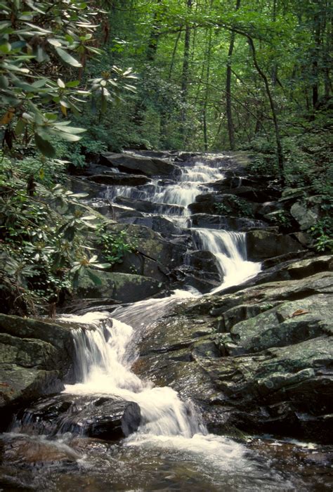 The 25 Best Easy Hiking Trails To Waterfalls In Georgia