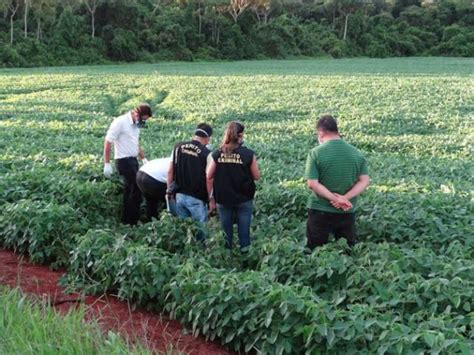 Encontrados Corpos De Casal Desaparecido Depois De Receber Dinheiro Em