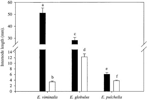 Internode lengths of coppicing and non-coppicing Eucalyptus species.... | Download Scientific ...