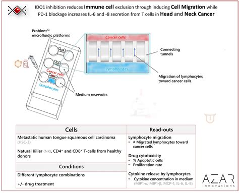 Immune Checkpoint Inhibitors And Their Effects On Lymphocytes And