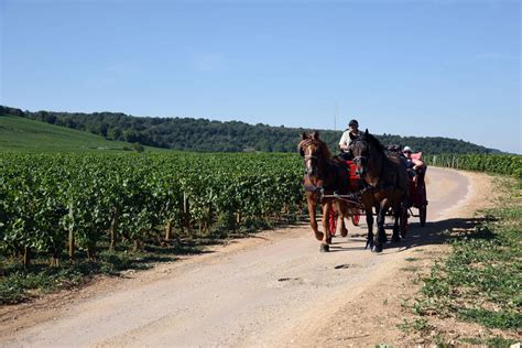 Balade En Cal Che Dans Le Vignoble De Bourgogne La C Te D Or J Adore