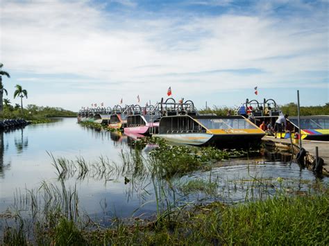 14 Best Everglades Boat Tours in Florida in 2023 [Highest Rated] - CS ...