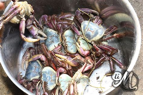 Crabe De Paletuvier Ti Molokoy Blog Island Food Saveur Caribbean