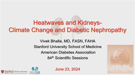 The Changing Climate Of Diabetic Kidney Diseaseenvironmental Triggers