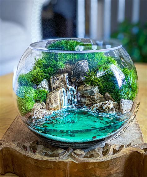 Large Ocean Cove Waterfall Plant Terrarium