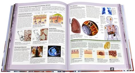 Большой Иллюстрированный Справочник По Анатомии - bravotopiki