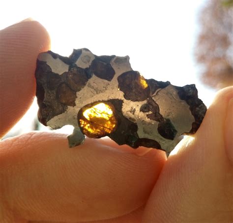 Springwater Pallasite Stony Iron Meteorite 38 G Catawiki