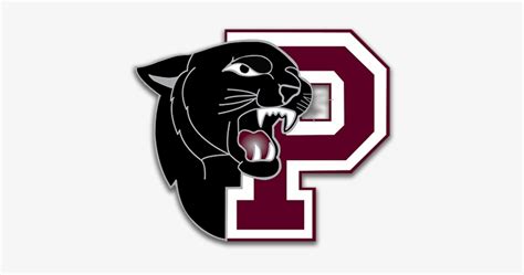 Support Princeton High School Princeton Panthers Logo 450x450 Png