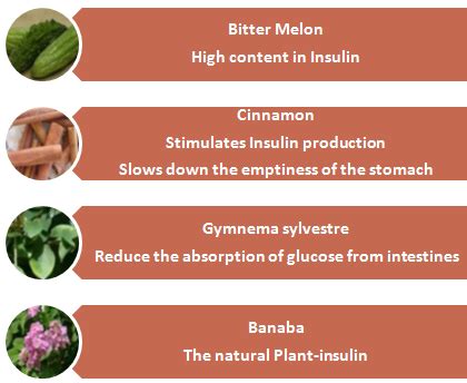 What Are Normal Range Blood Sugar Levels?