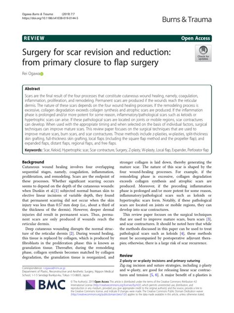 jurnal scar revision  scar wound healing