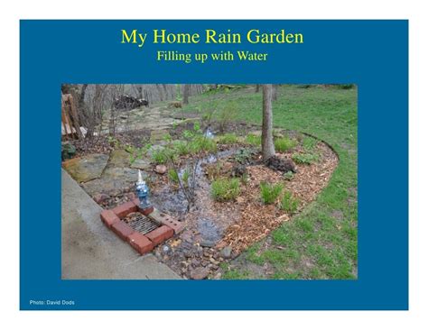 Rain Gardens For Home Drainage Help David Dods 06 09 12