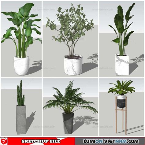 Plant Pots Sketchup Models