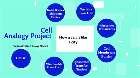 Cell Analogy Project By Amaya Mitchell On Prezi