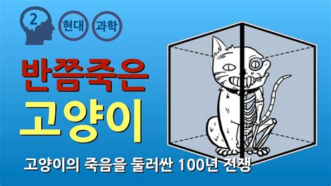 양자역학 슈뢰딩거의 고양이 양자역학에 대한 5가지 해석 Youtube