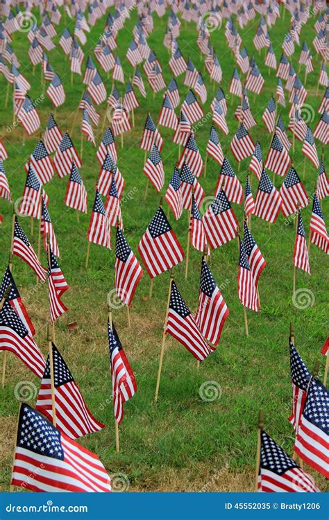 Patriotic Flags On Grassy Lawn Stock Image Image Of Admire Vertical