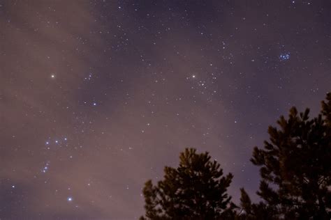 Gratis billeder træ himmel nat stjerne atmosfære galakse