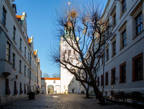 Dzieje się w weekend w Szczecinie Lista atrakcji na 1012 LUTEGO 2023