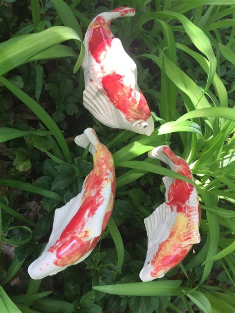 Kohaku Koi Small - Sold individually - Fish In The Garden LLC