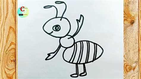 Draw Ant How To Draw An Ant Step By Step Cutedrawings01 Youtube