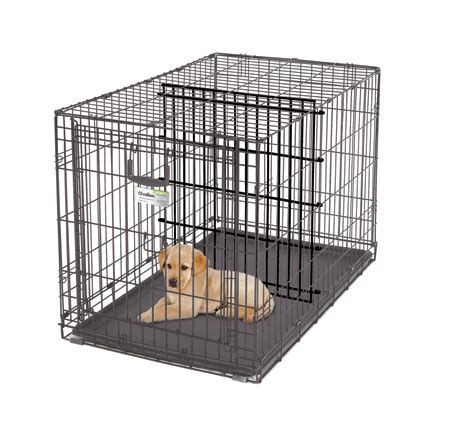 Dog crates with divider, how to make my dog stop biting his paws, how to potty train a dog in a ...