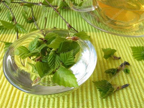 Лечебный чай из березовых листьев, почек и коры