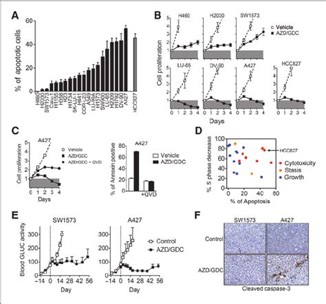 Apoptosis Is Necessary For Tumor Regression In Response To Mekipi3ki