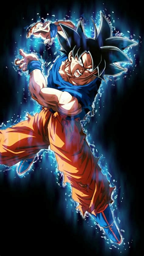 Pin De Goncalo Neves Da Silva En Goku Saiajin Ultra Instinto Dragones