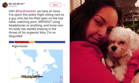 Southwest Airlines Passenger Was Watching Porn Throughout The Flight Daily Mail Online