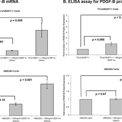 Sdf 1α Up Regulates Pdgf B Mrna And Protein Levels In Vitro A Download Scientific Diagram