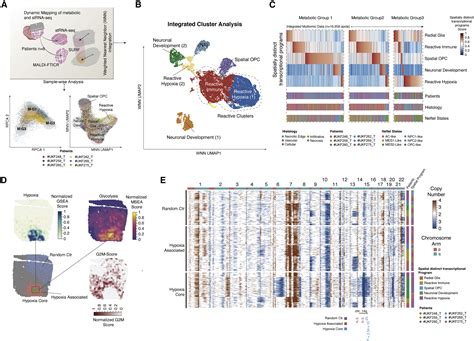 Spatially Resolved Multi Omics Deciphers Bidirectional Tumor Host