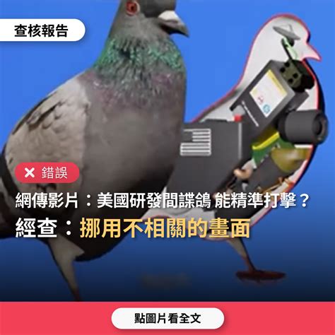 【錯誤】網傳影片「美國間諜鴿能實現精準打擊」？ 台灣事實查核中心