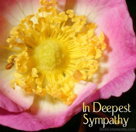 Deepest Sympathy - DesiComments.com