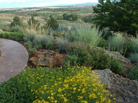 Xeric Traditional Landscape Denver By Lifescape Colorado Houzz