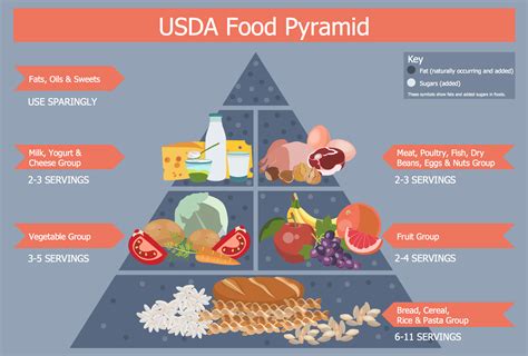 2025 Usda Food Pyramid - Leah Peters