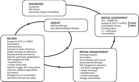 Management Of Copd Notes Reproduced With Permission From Global Download Scientific Diagram