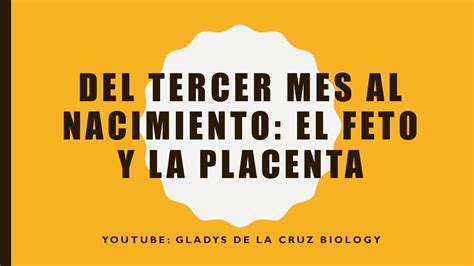 Desarrollo Fetal Y Placenta Embriologia Langman Cap Udocz