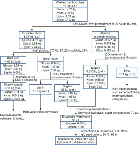 Mass Balance For The Overall Process For The Production Of Dissolving