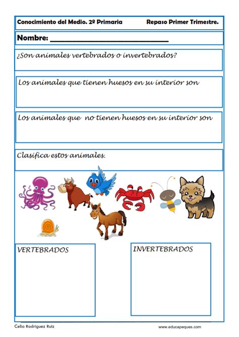 Ejercicios De Conocimiento Del Medio Para Segundo Primaria