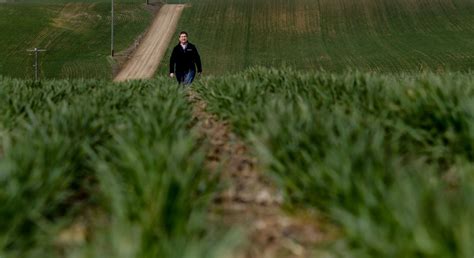 As War In Ukraine Threatens Global Wheat Supply Washington Farmers Pray For Rain And Good