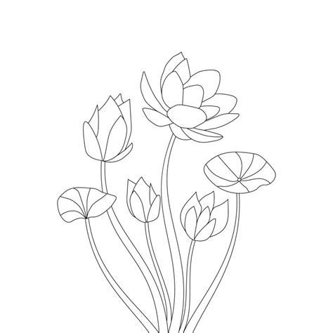 Water Lily Flower Coloring Page Hand Drawing With Detailed Line Art