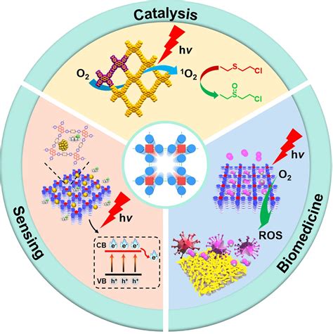 Recent Advancements In The Development Of Photo And Electroactive