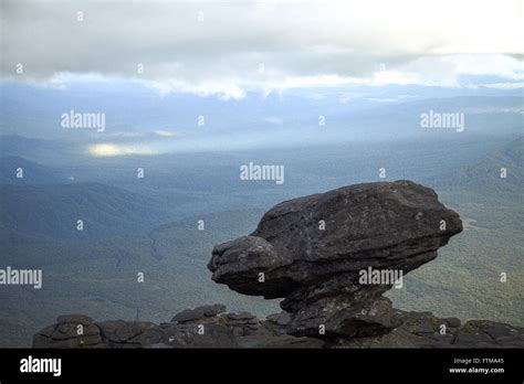 Lookout Vista Coati Mount Roraima National Park Stock Photo Alamy