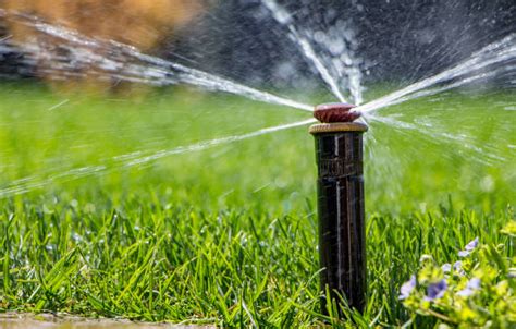 Flower Bed Sprinkler System Stock Photos, Pictures & Royalty-Free ...